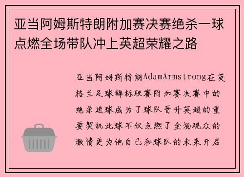 亚当阿姆斯特朗附加赛决赛绝杀一球点燃全场带队冲上英超荣耀之路