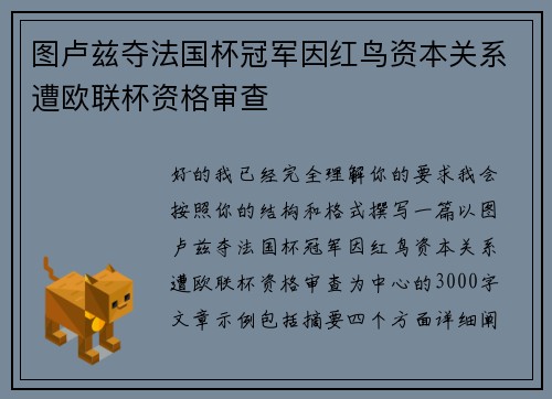 图卢兹夺法国杯冠军因红鸟资本关系遭欧联杯资格审查